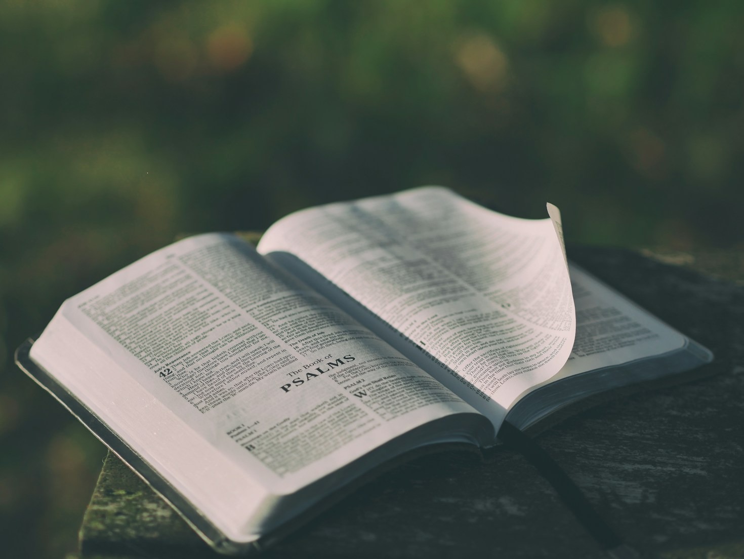 The Importance of Discussion in Faith Growth