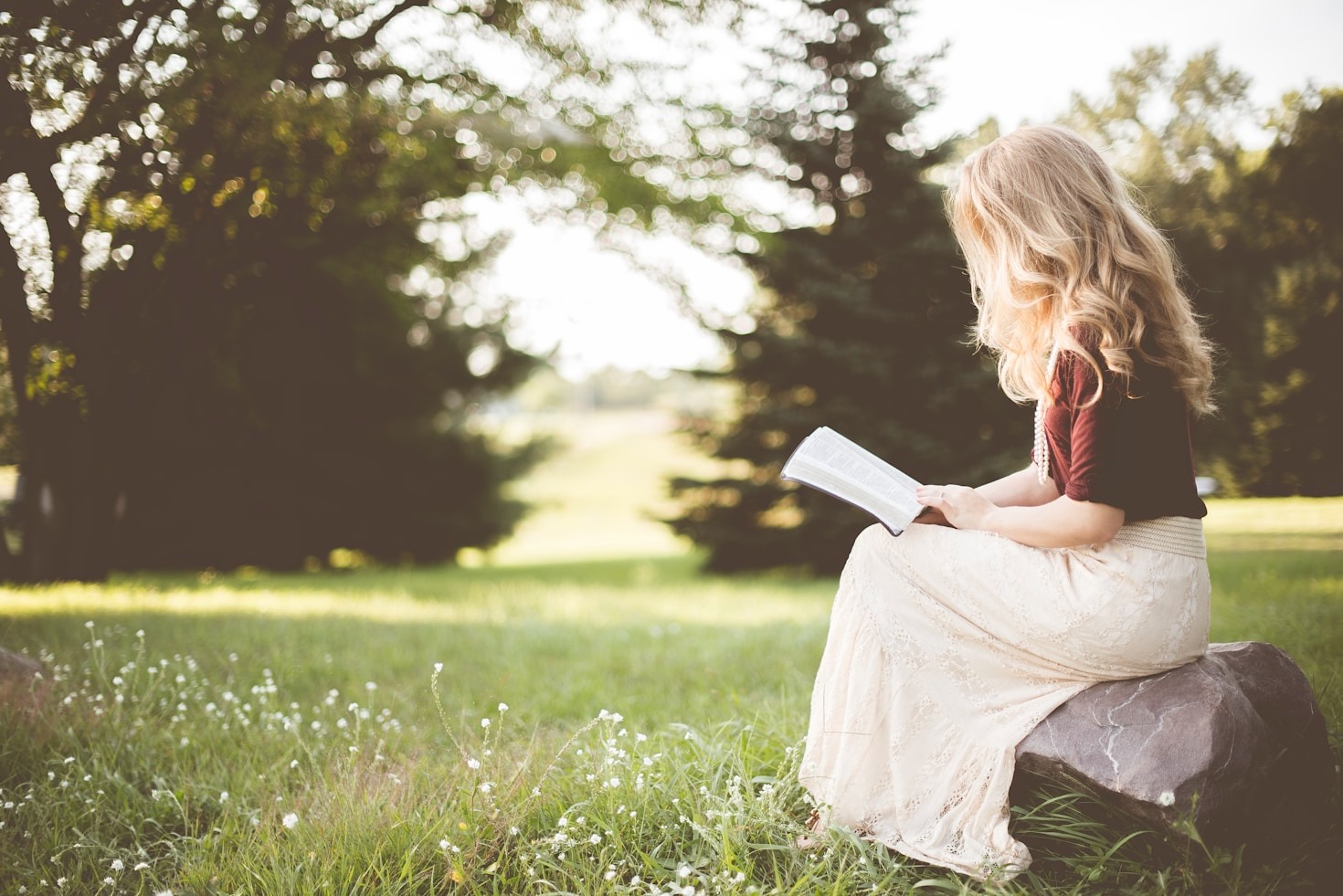 How Scripture Reveals Wisdom for Everyday Life